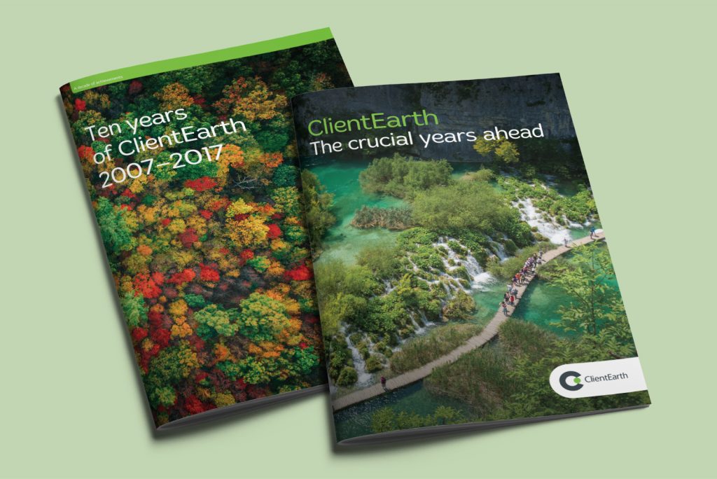 ClientEarth – The crucial years ahead brochure