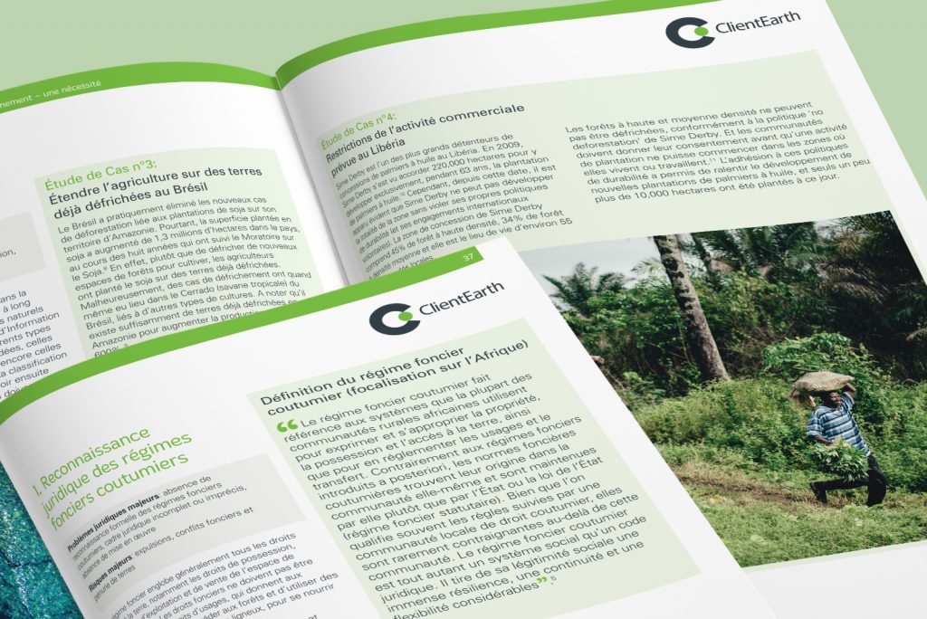 ClientEarth – Forest conversion legal toolkit – Case study detail