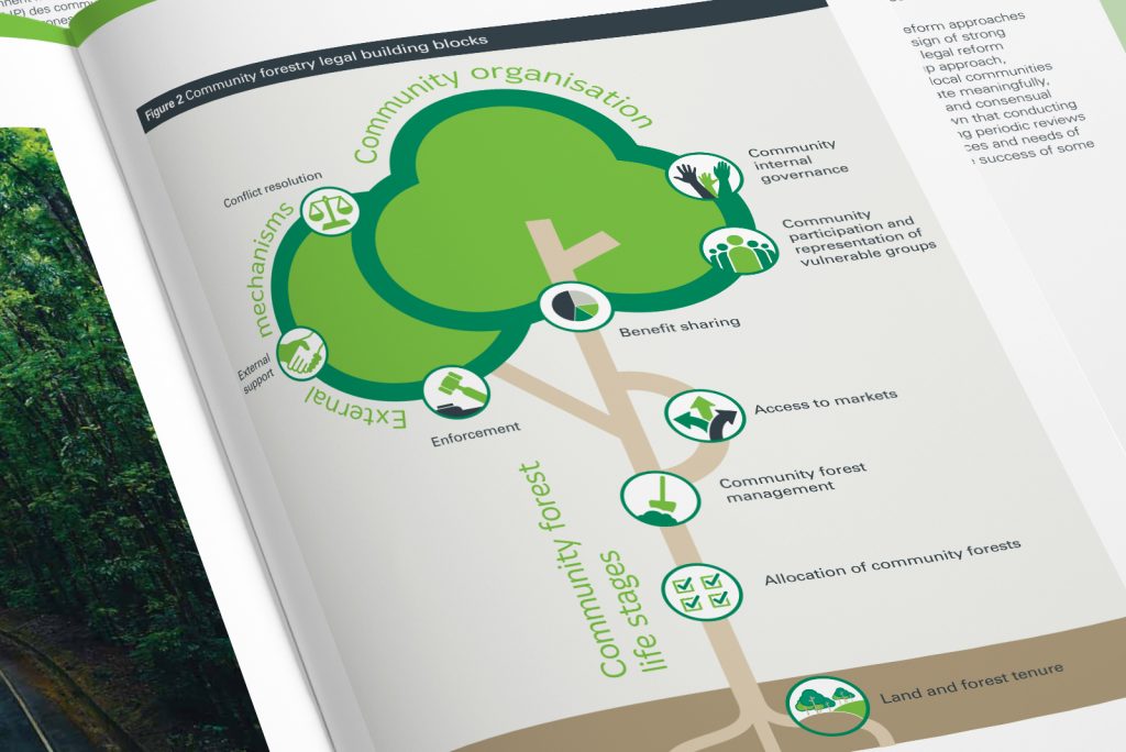 ClientEarth Communities at the heart of forest management