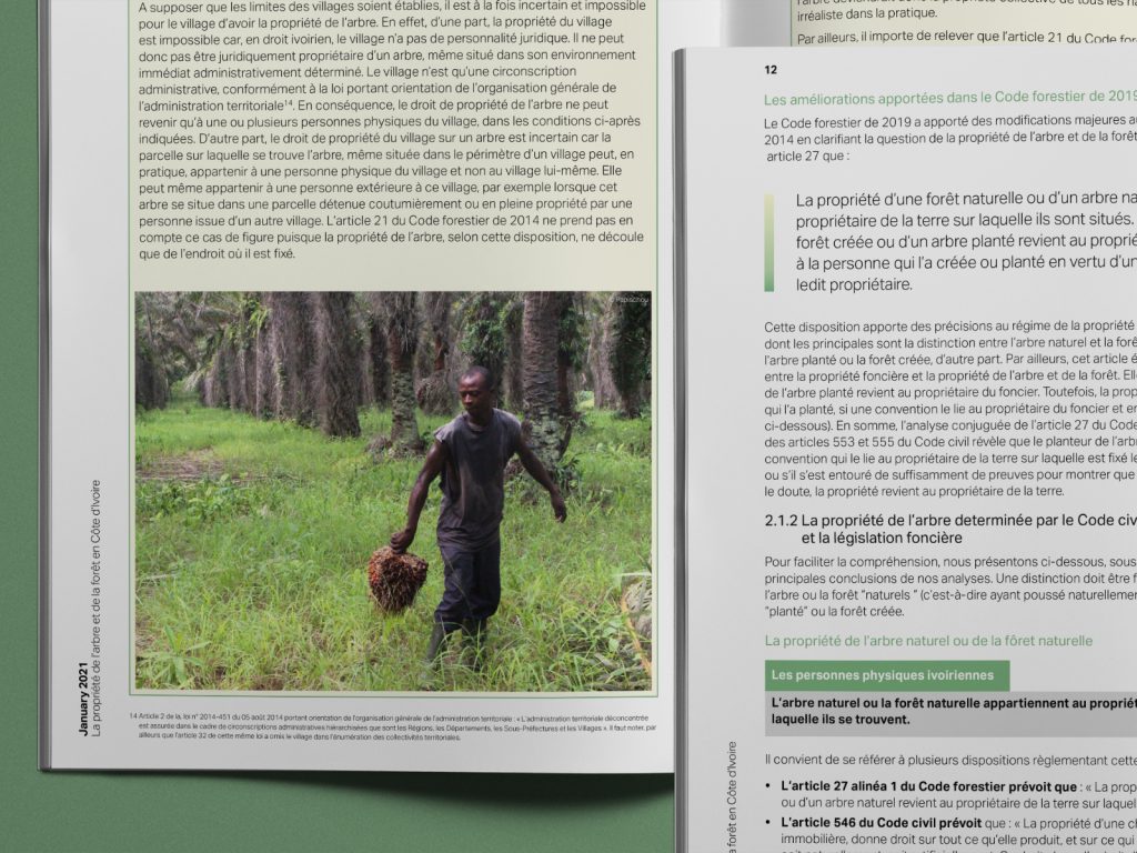 ClientEarth Forestry ownership in the Ivory Coast report