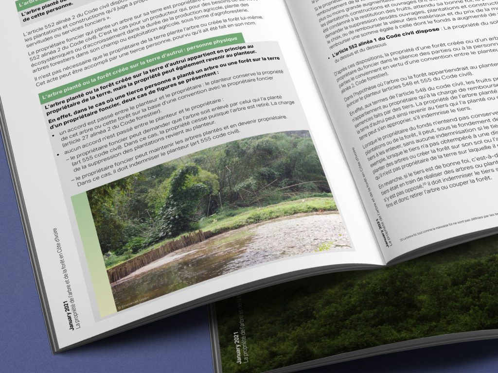 ClientEarth Forestry ownership in the Ivory Coast report