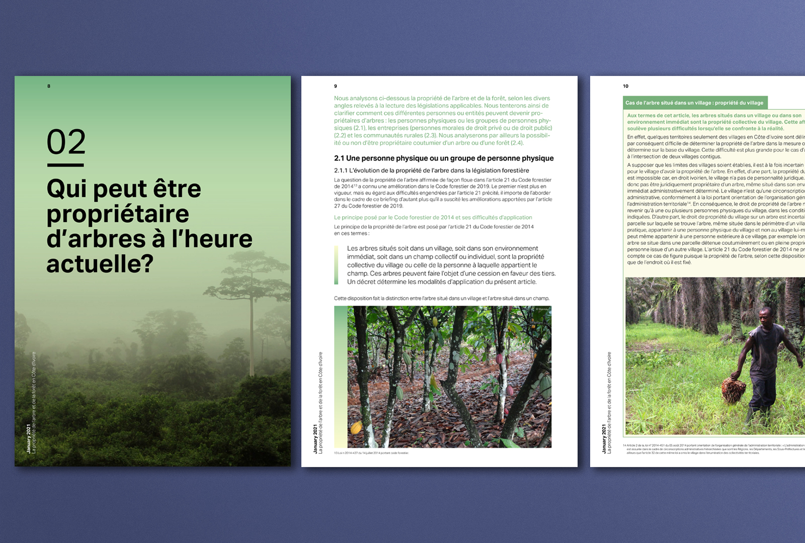 ClientEarth Forestry ownership Ivory Coast