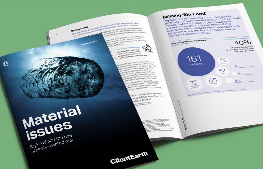 ClientEarth Material issues report
